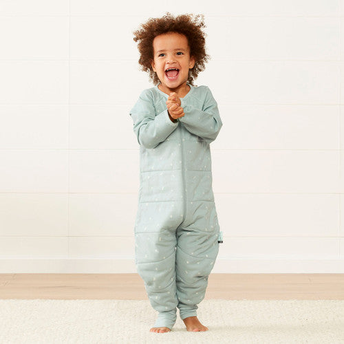 ErgoPouch Sleep Onesie Sage - 3.5T image 1