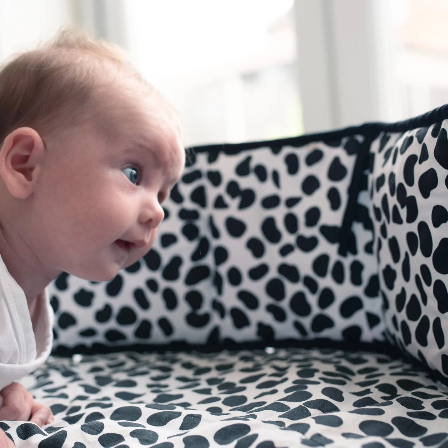 Etta Loves Sensory Strip Animal Print image 2