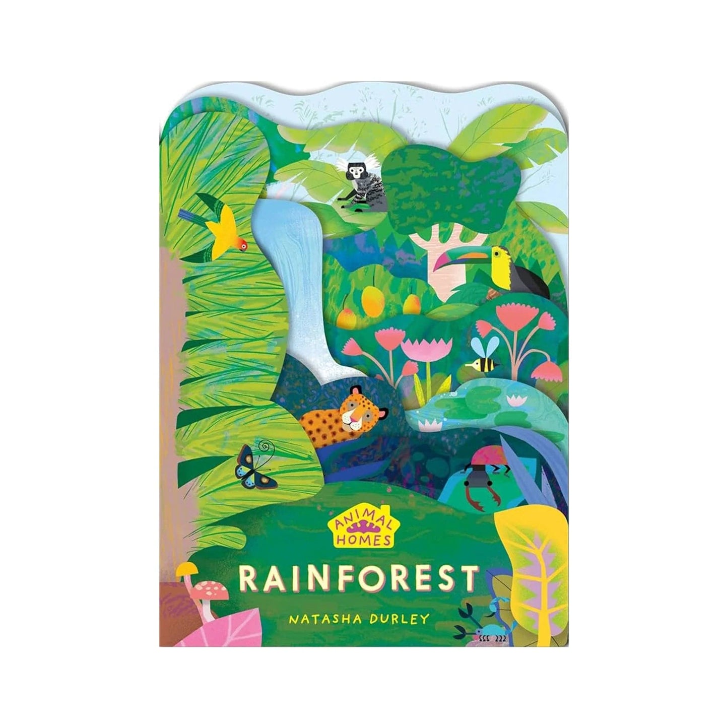 Animal Homes - Rainforest Book image 0