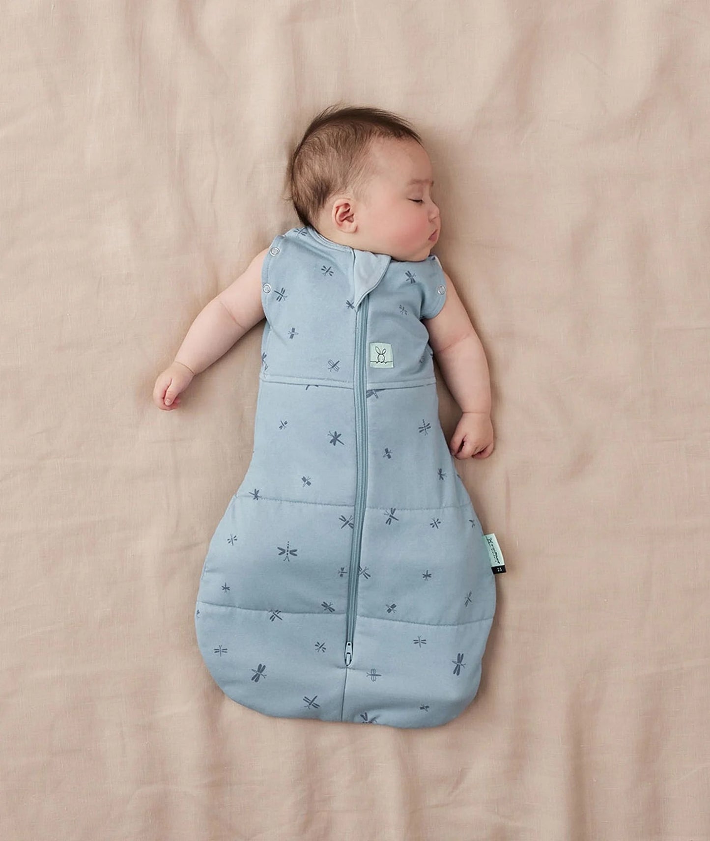 ErgoPouch Cocoon Swaddle Bag 0-3m 2.5 Tog Dragonflies