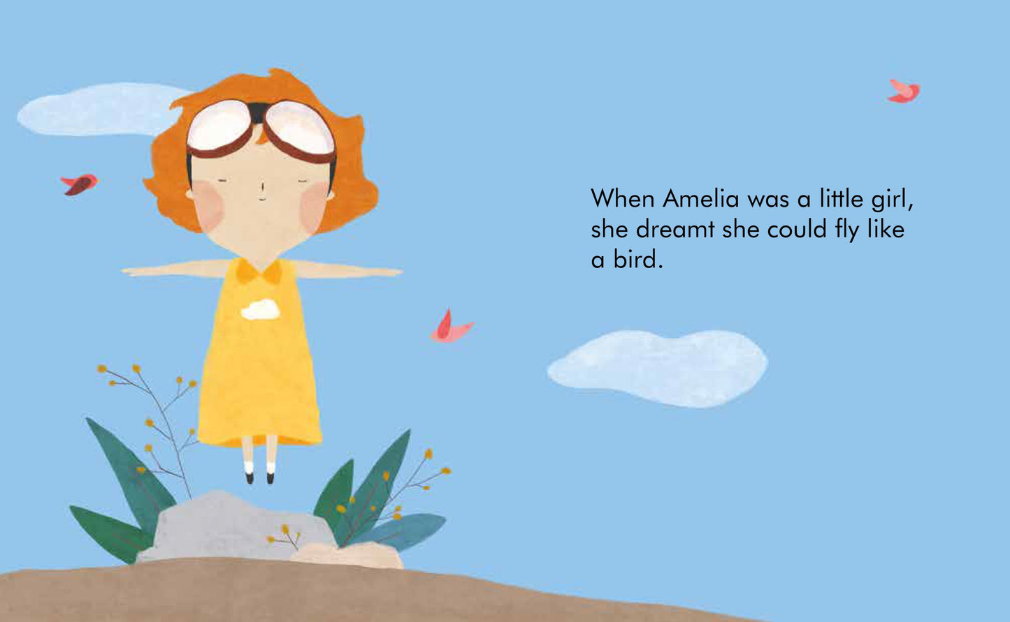 Little People, BIG DREAMS - My First Amelia Board Book image 1