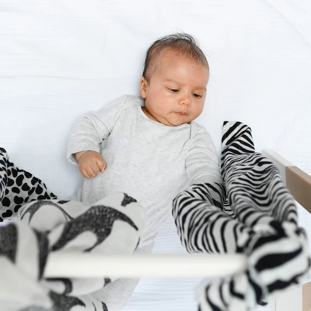 Etta Loves 3-Pack Sensory Muslin Animal image 3