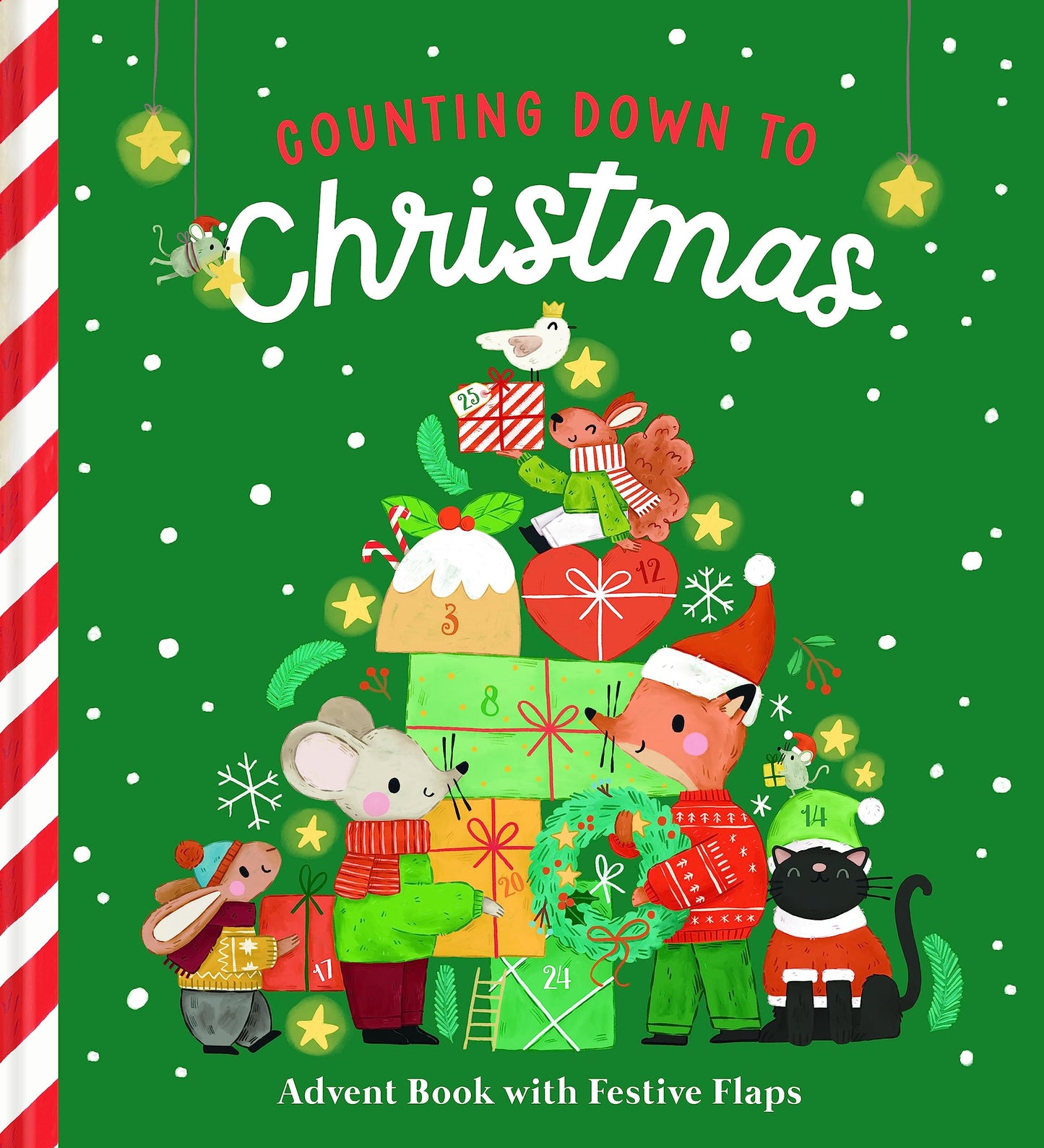 Counting Down To Christmas Advent Book image 0