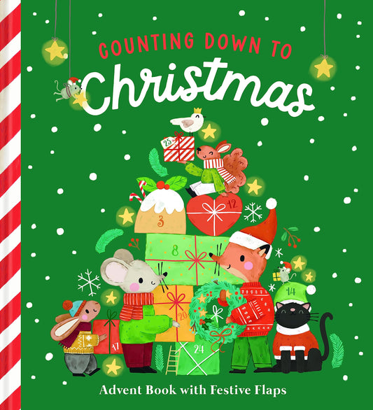 Counting Down To Christmas Advent Book image 0