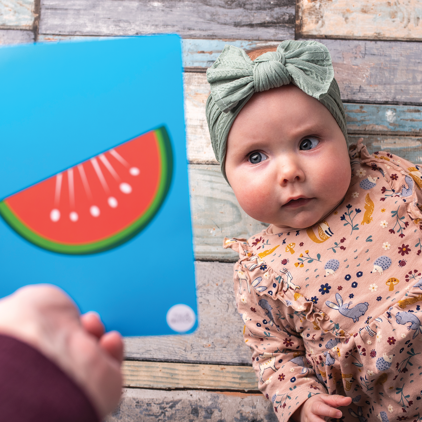 Priya & Peanut Colour Baby Sensory Flash Cards image 2