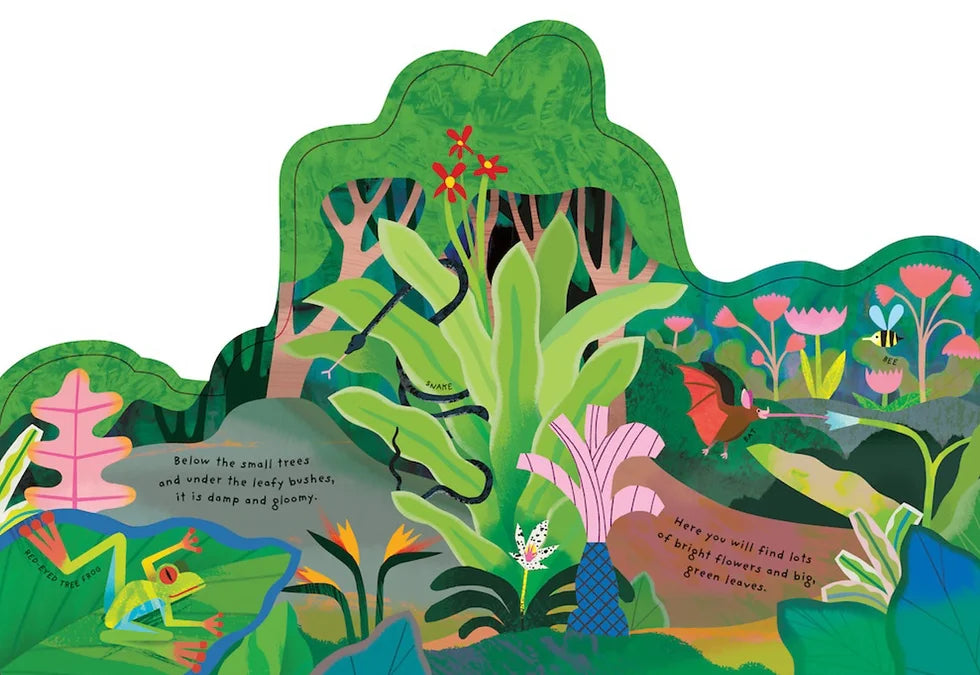 Animal Homes - Rainforest Book image 1